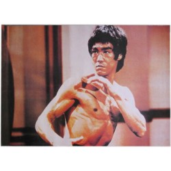Poster Bruce Lee, in Action
