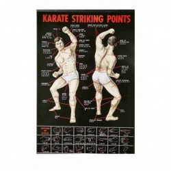 Poster Karate - Striking...