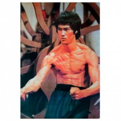Poster Bruce Lee Todeskralle